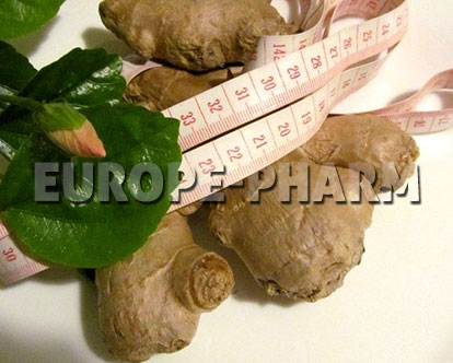 ginger-ALT_BIG_IMG
