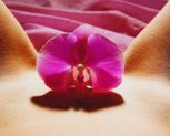 facts-about-clitoris-ALT_SMALL_IMG