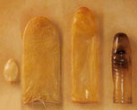 historyofcondom-ALT_SMALL_IMG