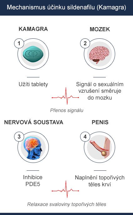 Kamagra mechanismus mob