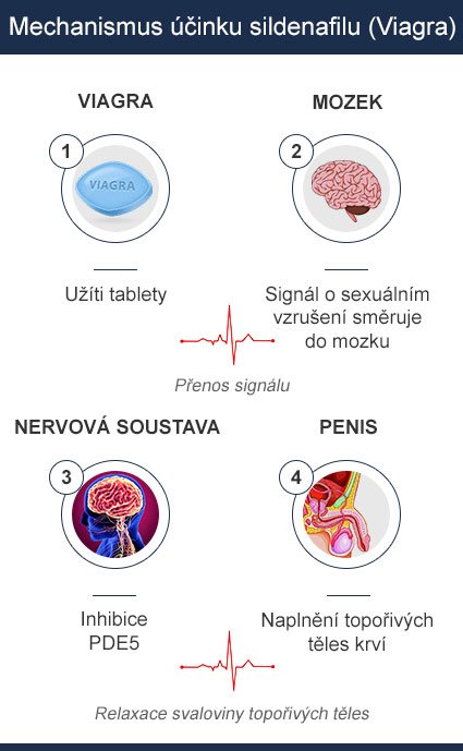 Sildenafil mechanismus