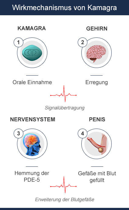 Kamagra Wirkung