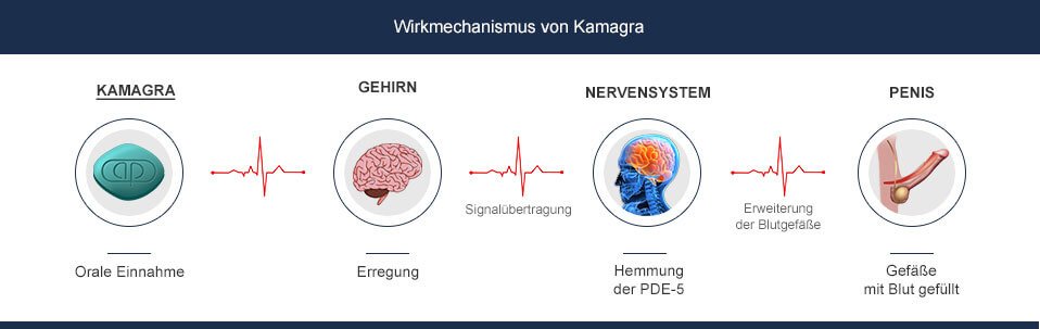 Kamagra Wirkungsweise