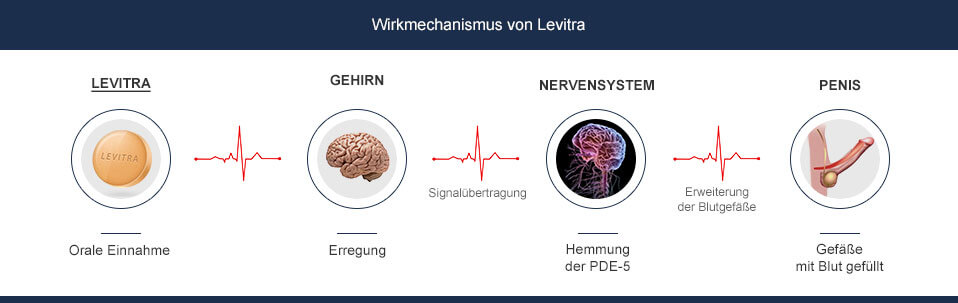 Levitra Wirkung