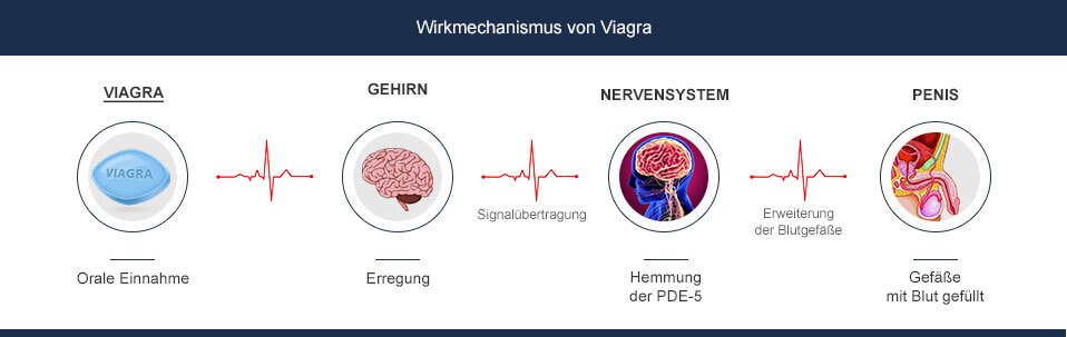 Viagra Wirkungsweise