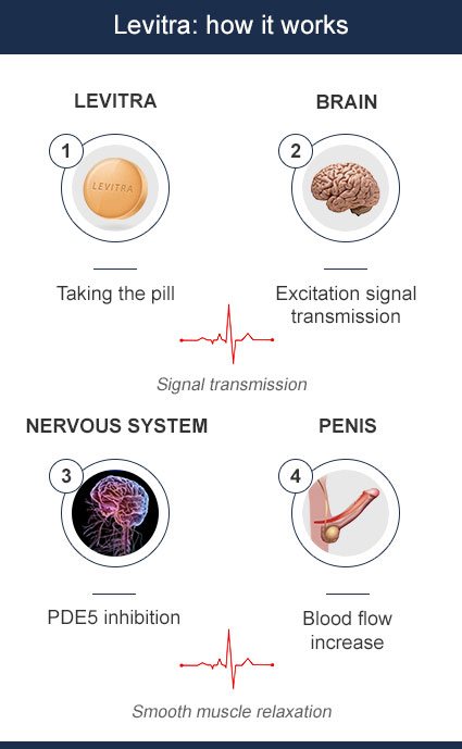 How does levitra works