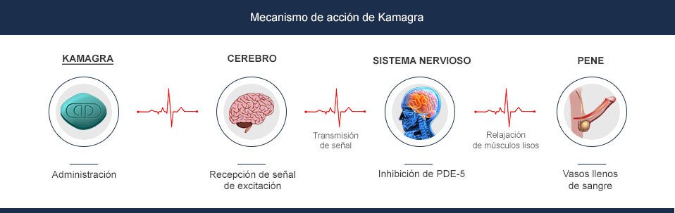 mecanismo de accion de kamagra
