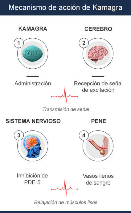 kamagra mecanismo de accion