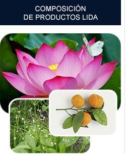 composición de lida daidaihua