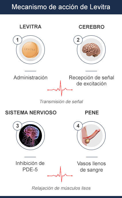 mecanismo de acción de levitra vardenafil