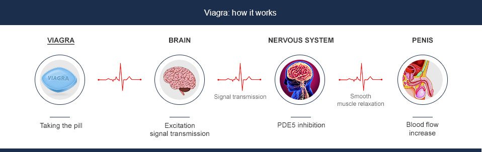 Viagra vaikutus
