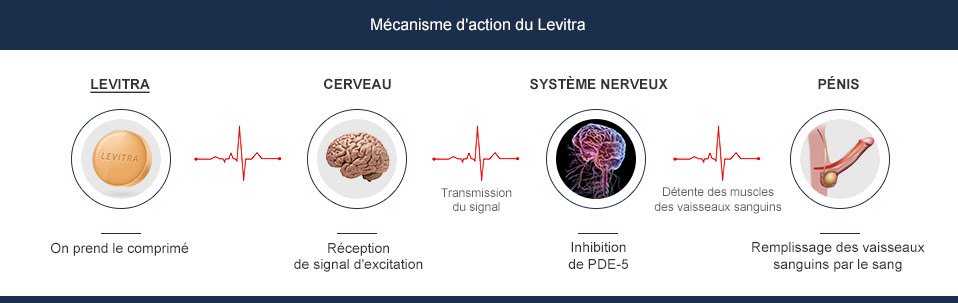 Effet du Levitra expliqué