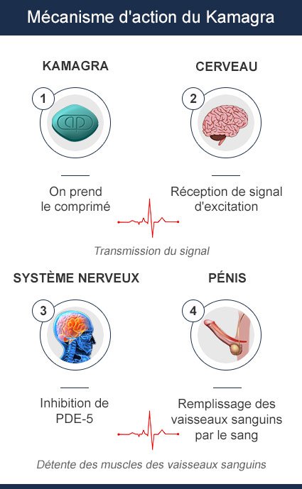 Fonctionnement du Kamagra