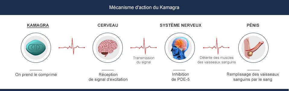 Kamagra mécanisme d'action