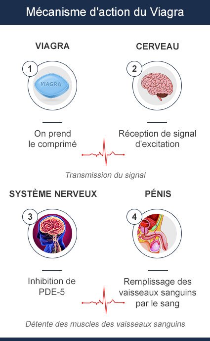 Sildénafil effet sur érection