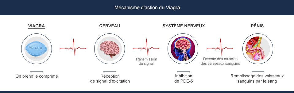 Le Viagra comment agit-il?