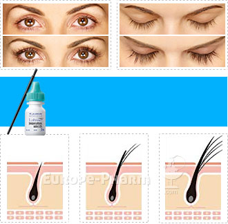 8120_banner_diagramm