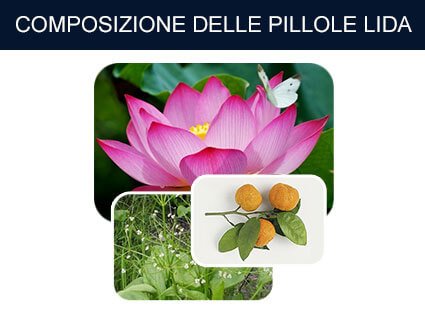 Lida daidiahua per dimagrimento