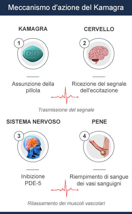 kamagra Funzionalità