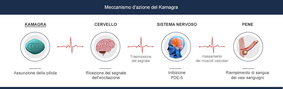 Kamagra Sildenafil Azione