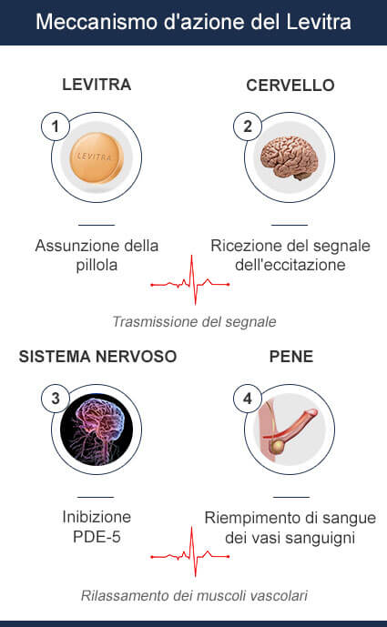 Levitra come agisce