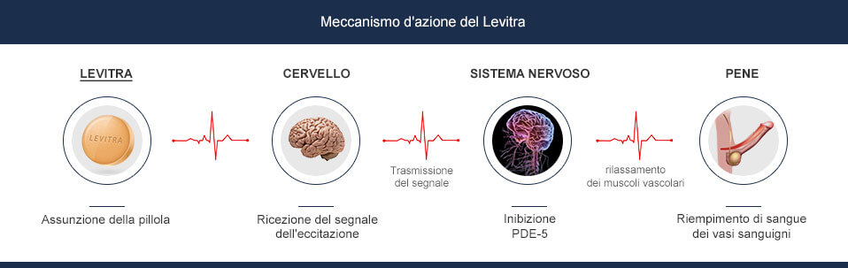 Levitra Vardenafil Funzionalità