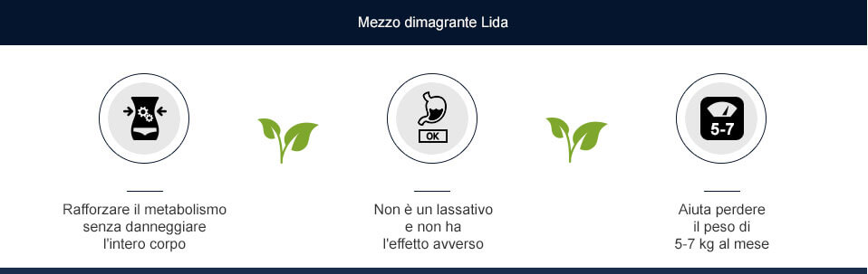 Lida Daidaihua come funziona