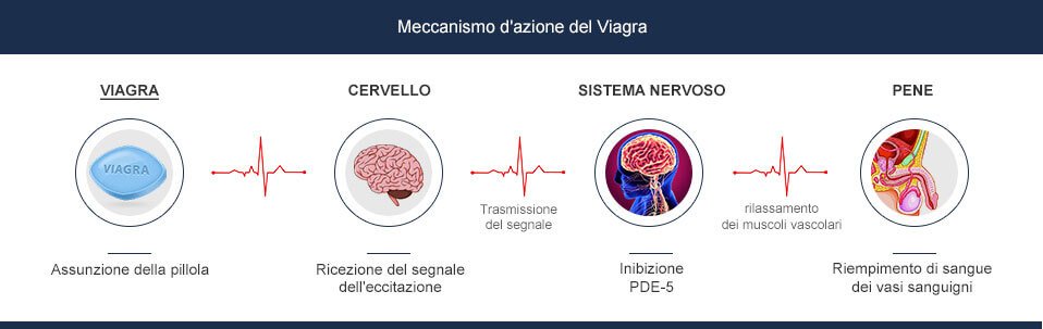 Sildenafil azione