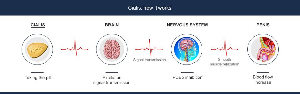mecanismo de ação do cialis