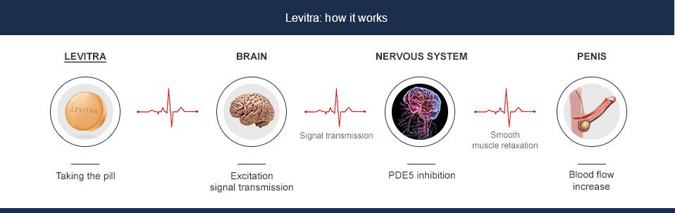 mecanismo de ação levitra