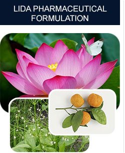 composição da lida daidaihua