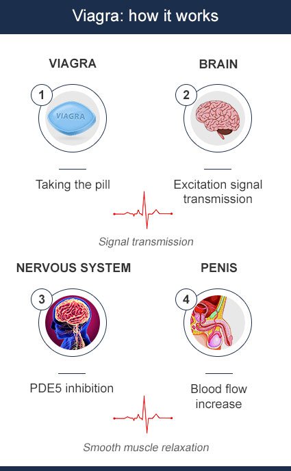 viagra sildenafilo mecanismo de ação
